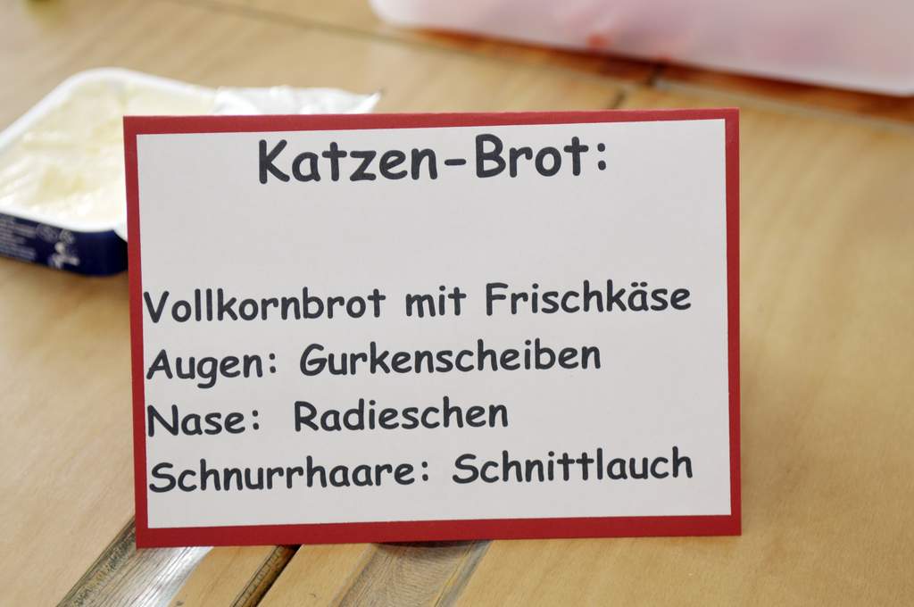 denkbar-R_Modellprojekt_Katzenbrot