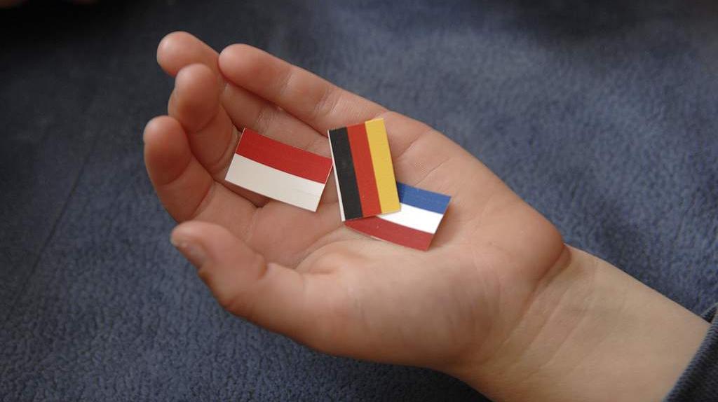 FG Fremdsprachen in der Grundschule