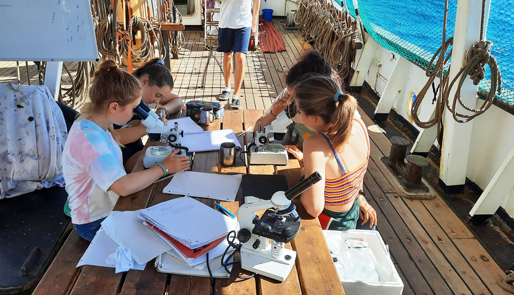 Bild: Meerwasser unter die Lupe nehmen – dafür müssen die Schülerinnen und Schüler beim Ocean College nur einmal über die Reling greifen (copyright: Ocean College)